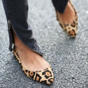 Elusion Leopard Print Dorsay Flants Steve Madden